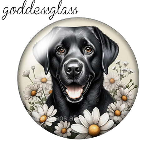 Çiçeklerin Arasında Sevimli Kö - Vase Decor incelemesi ve fiyatı